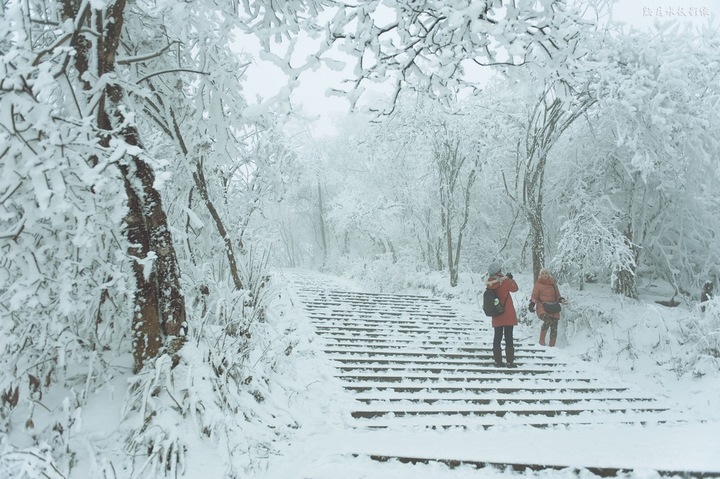 大雪入冬，這邊卻刮起了“火熱風(fēng)暴”(圖2)