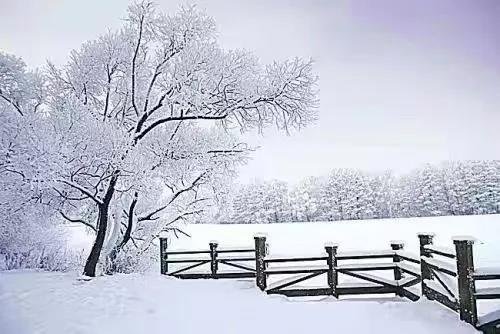 新品品鑒｜東方傲雪 以雪為墨，繪就一抹遺世獨(圖2)